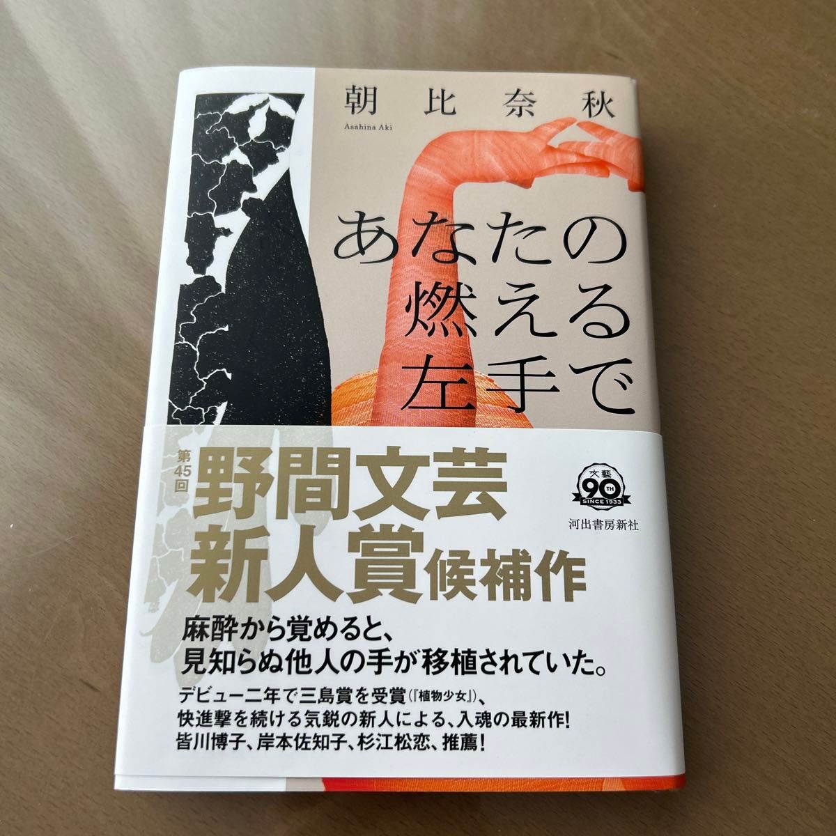 あなたの燃える左手で 朝比奈秋／著