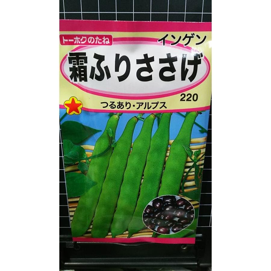 ３袋セット 霜ふり ささげ つるあり インゲン 種 郵便は送料無料_画像1