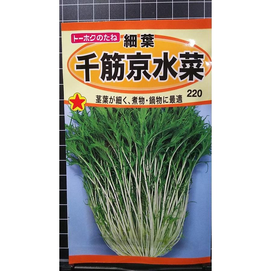 ３袋セット 細葉 千筋 京水菜 ミズナ 種 郵便は送料無料_画像1