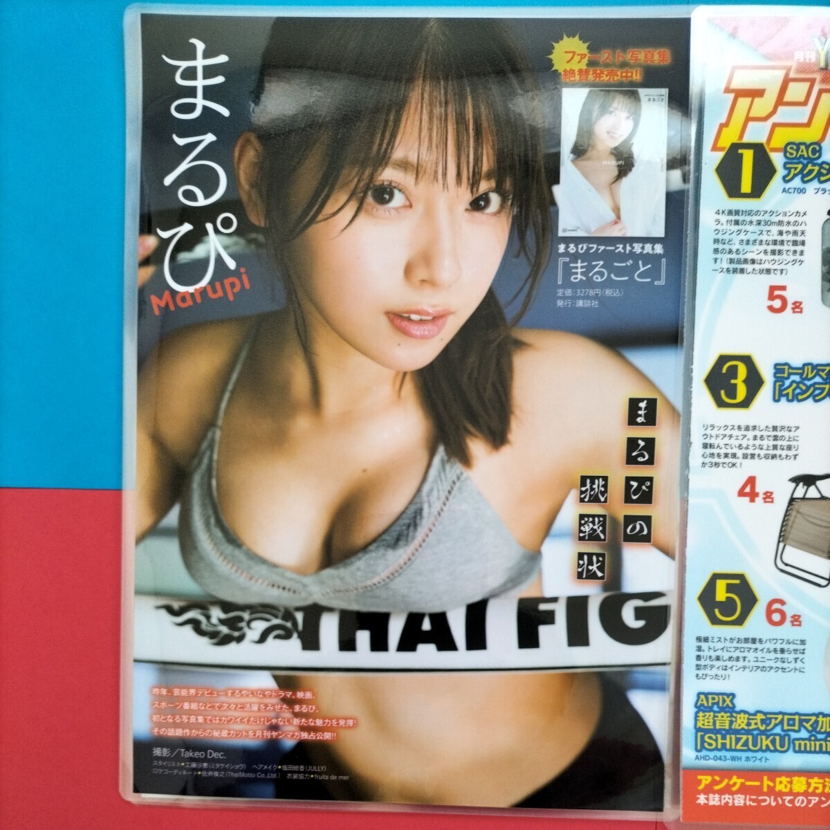 [ gravure / swimsuit gravure / laminate processing ]...5 sheets 9 surface 