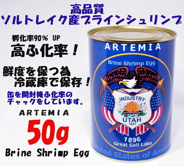  高品質 　GSL産 ブラインシュリンプ エッグ ユタ州 ソルトレイク産 50g 　ふ化率90％ UP ブラインシュリンプ_画像1