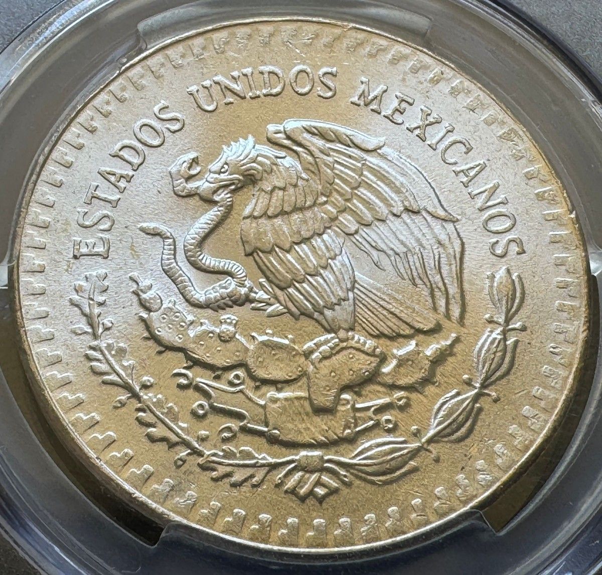 1985年 1オンス メキシコ 勝利の女神銀貨 PCGS MS 67