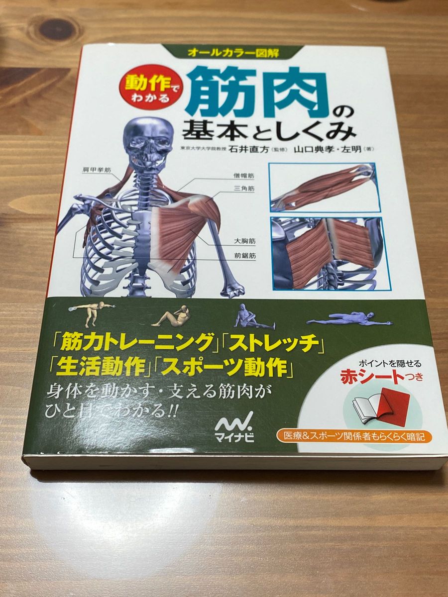 「動作でわかる筋肉の基本としくみ : オールカラー図解」