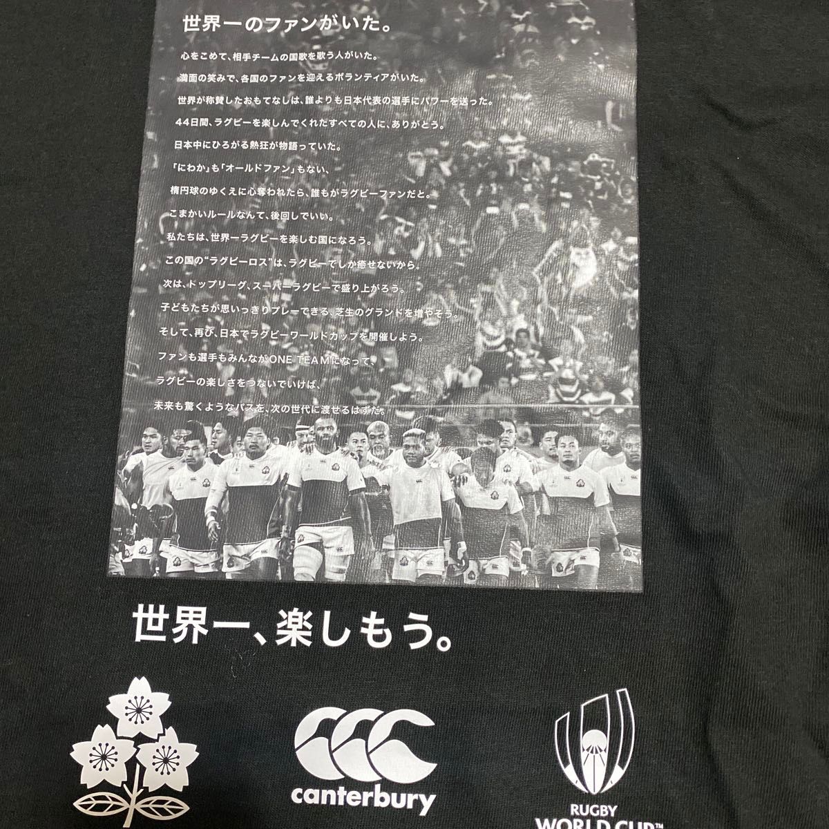 ラグビーワールドカップ2019  3L  tシャツ  日本代表 カンタベリー  