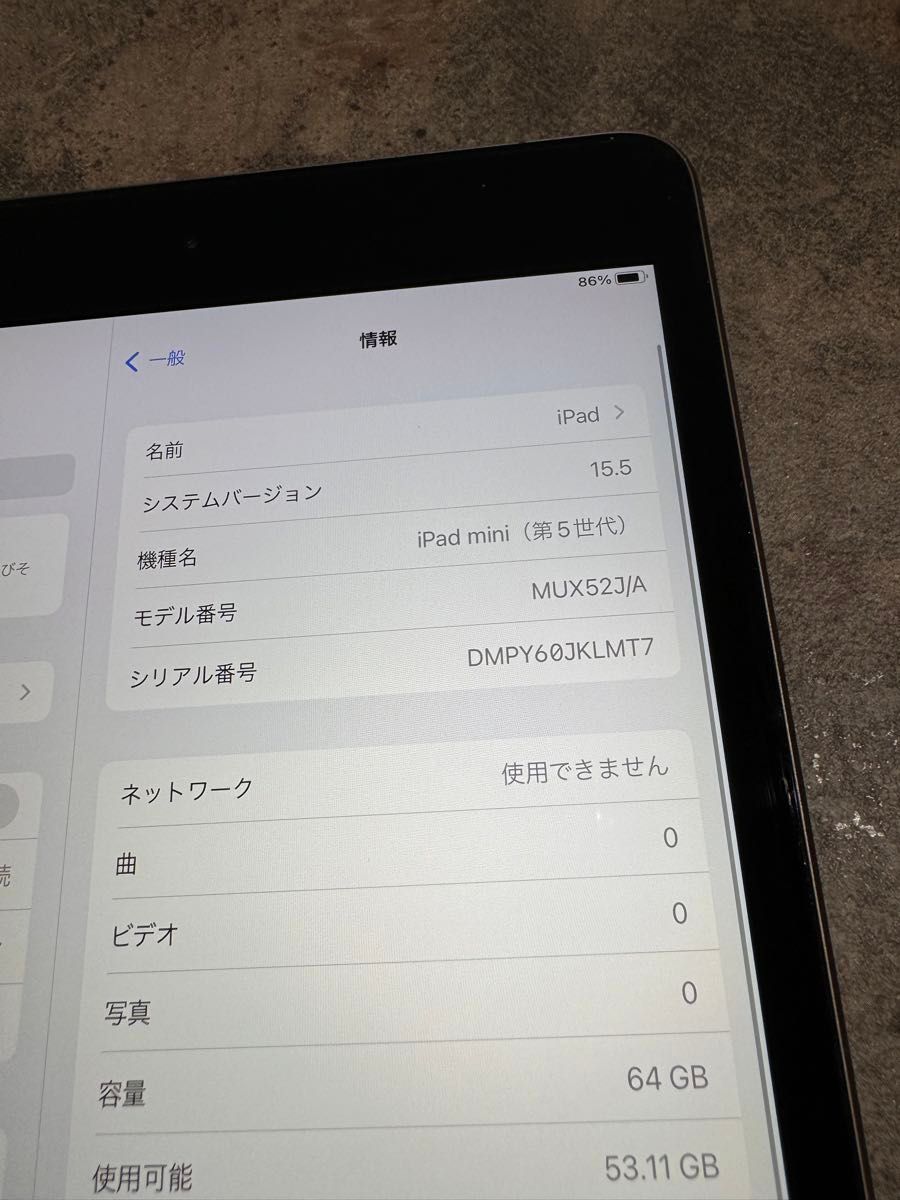 43238 iPad mini5 64GB グレー　SIMフリー　中古品　※本体のみ