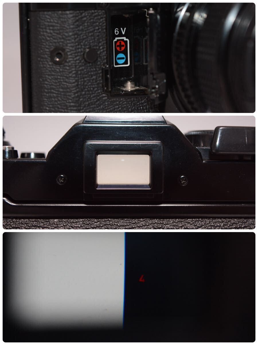 Canon AE-1 Program FD 50mm F1.4 単焦点レンズ付き 動作確認済み キヤノン 一眼レフ フィルムカメラ 訳あり_画像10