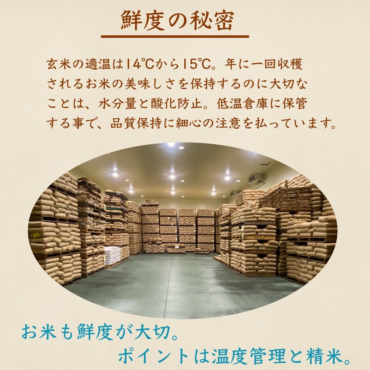 生活応援米 20kg《令和5年新米入り》コスパ米 お買い得 お米 九州産 激安 美味しい 安い 訳あり 精米 白米 ブレンド米