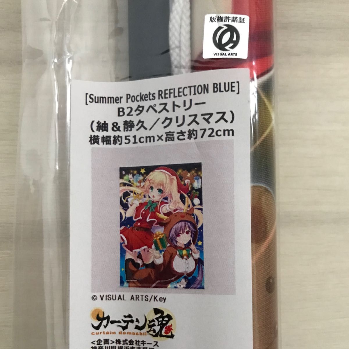 ハロウィン限定★ワンピース クリアファイル 2つポケット 2019 激レア!◇ハロウィン限定☆ワンピース クリアファイル 2つ