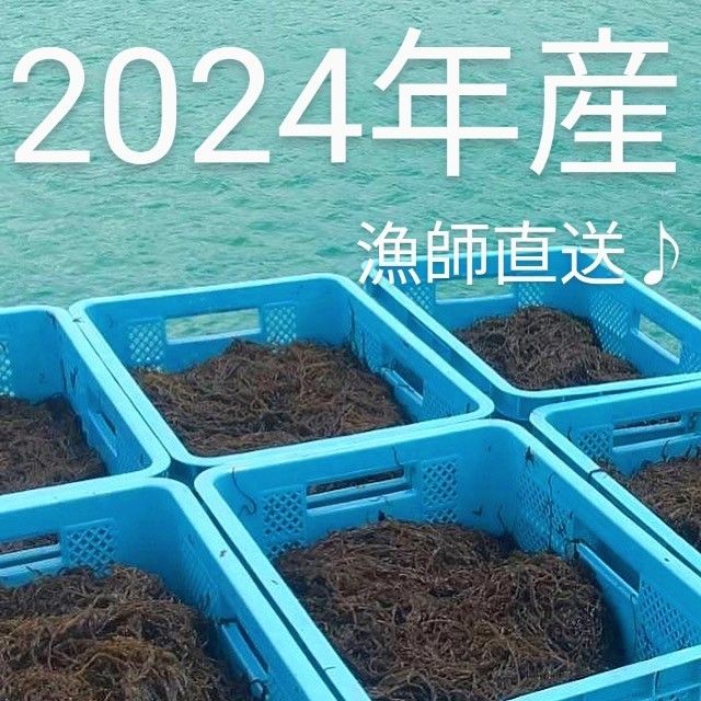 沖縄県産太もずく♪2024年産☆送料無料☆1kg(500g×2パック)太くて長～い自慢の太もずく☆沖縄特産品沖縄土産沖縄料理