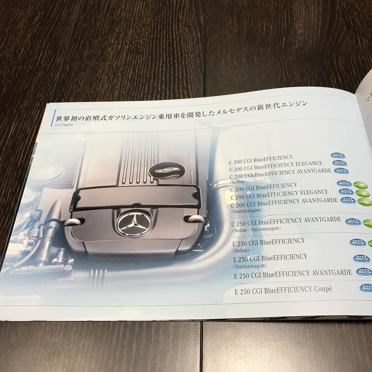 [ prompt decision ] BlueEFFICIENCY Vaio nik car F700 F-Cell Blue ZERO environment technology catalog BlueEFFICIENCY 2010 year 2 month Benz 