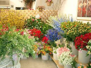     цветы   магазин     ... цветы  ...5000  йен ...@