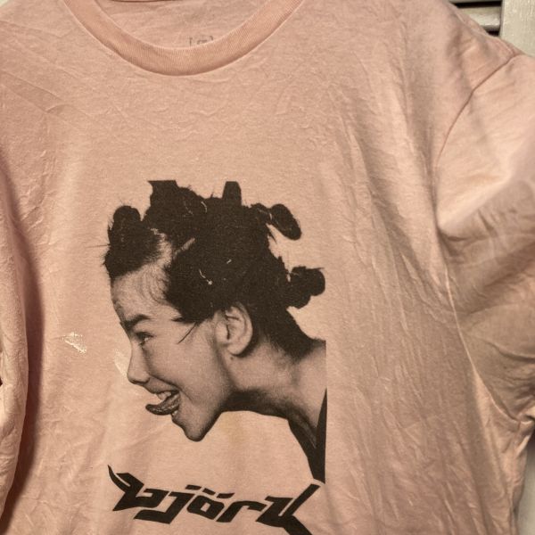 AGDG 1スタ ピンク バンド Tシャツ ビョーク bjork 女の子 90s 00s ビンテージ アメリカ 古着 ベール 卸 仕入れの画像3