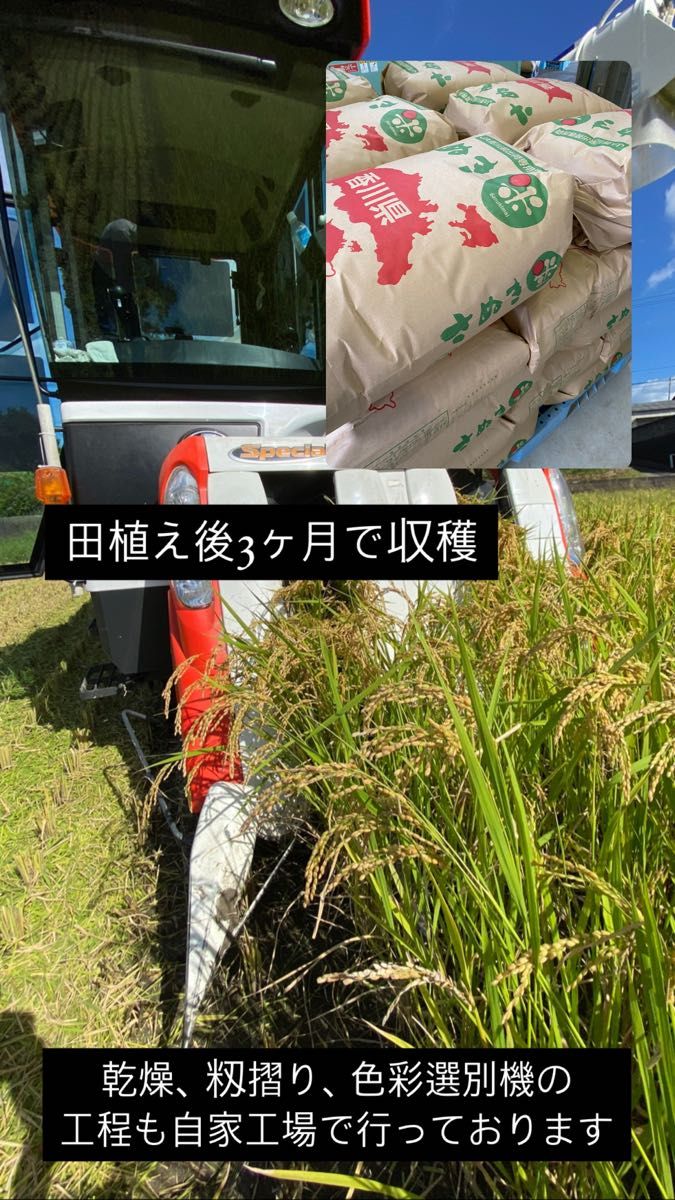 あいがも米 20kg(玄米重量)