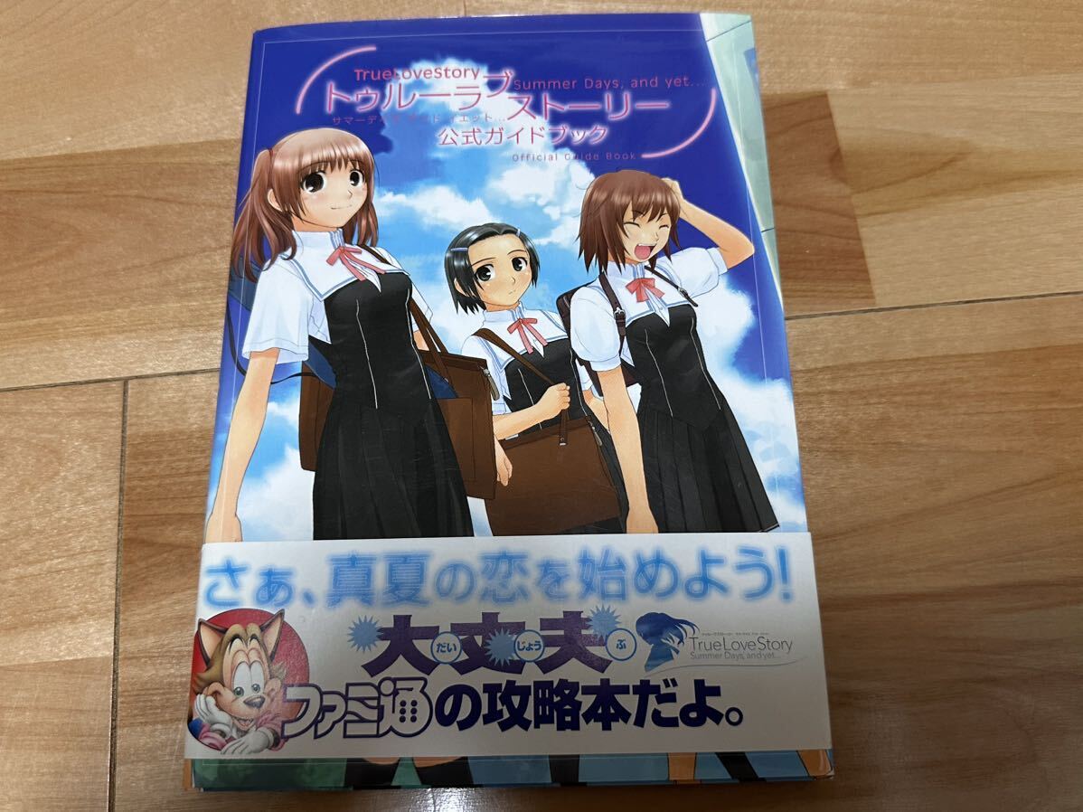 ps2 true love story summer day's and yet 公式ガイドブック付　トゥルーラブストーリー　中古美品_画像4