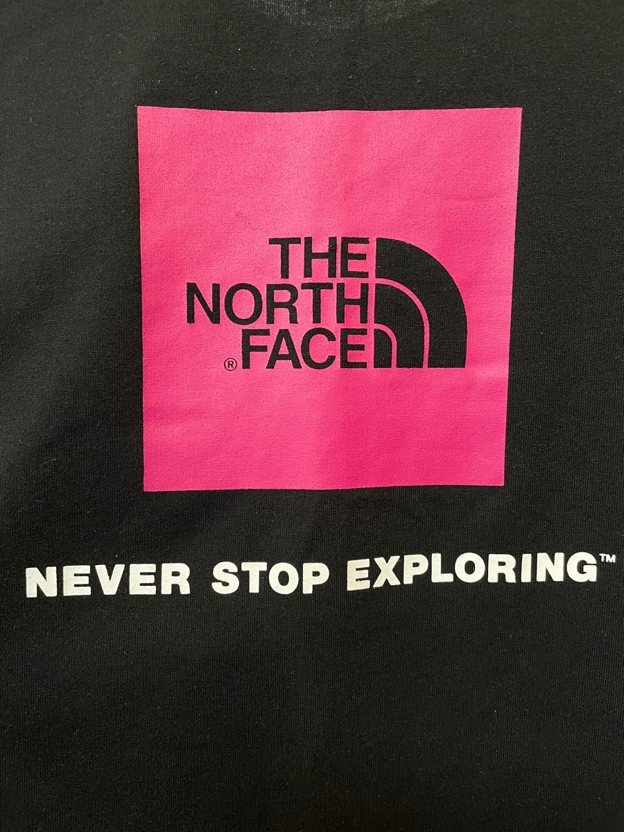 ノースフェイス  THE NORTH FACE  Tシャツ