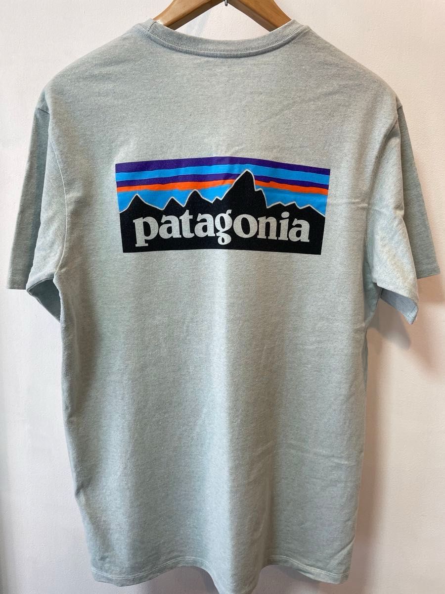 Tシャツ パタゴニア patagonia ポケット