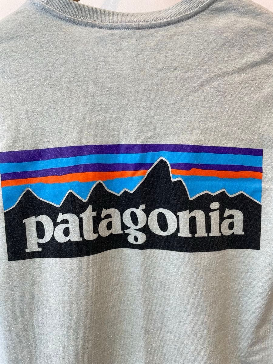 Tシャツ パタゴニア patagonia ポケット