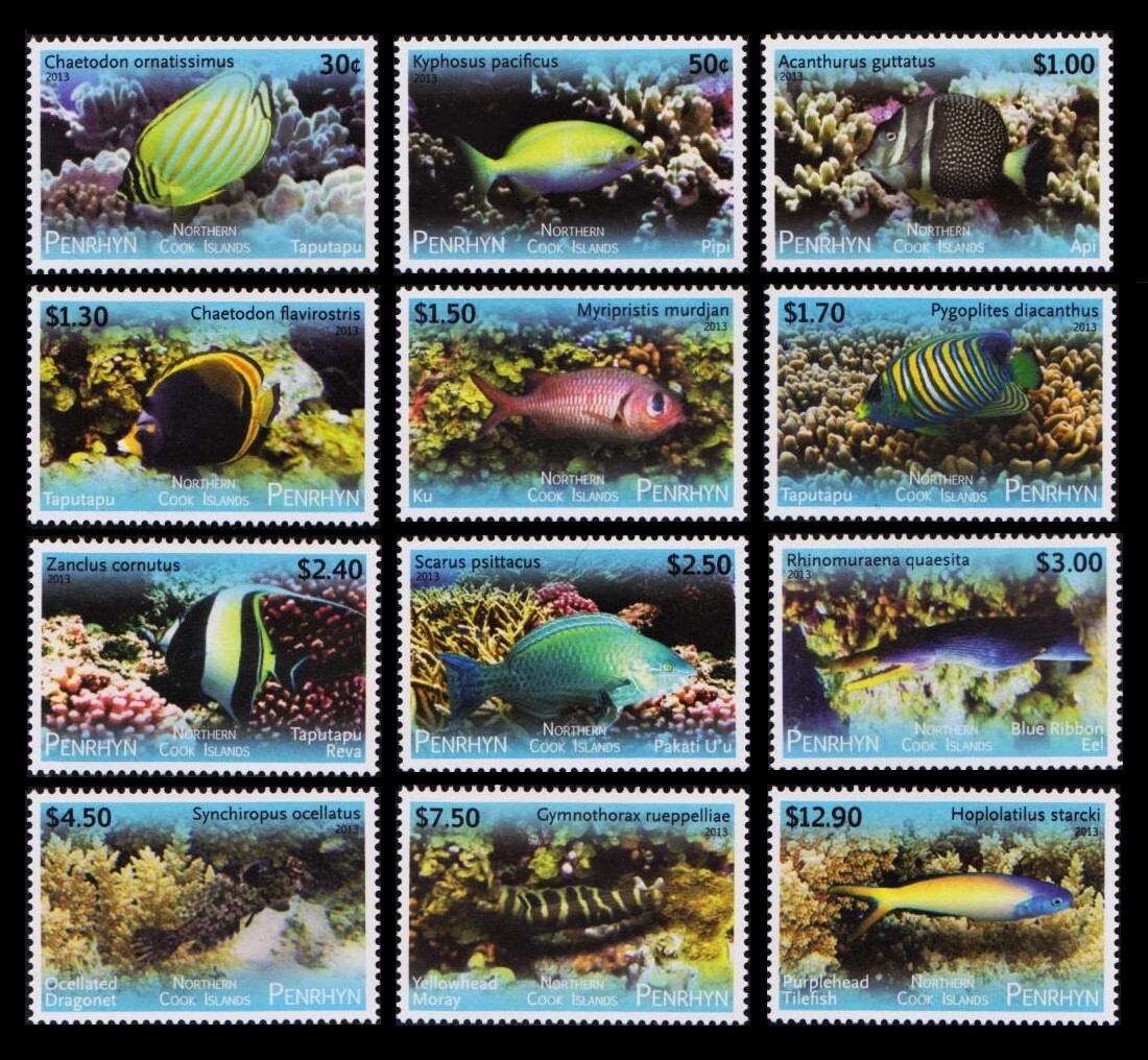 bα92y4-4P5　ペンリン諸島2013年　魚・12枚完_画像1