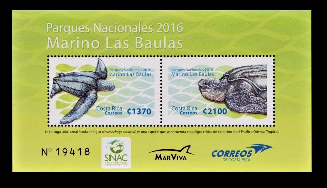 Tα95y2-6C2　コスタリカ2016年　マリノ・ラス・バウラス国立公園・亀・2種シート　13×7㎝_画像1