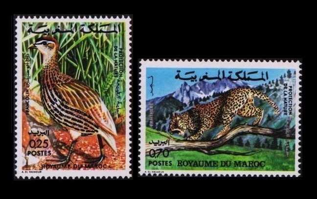 bα39y1-7M3　モロッコ1970-76年　自然保護シリーズ・動物・12枚完_画像4