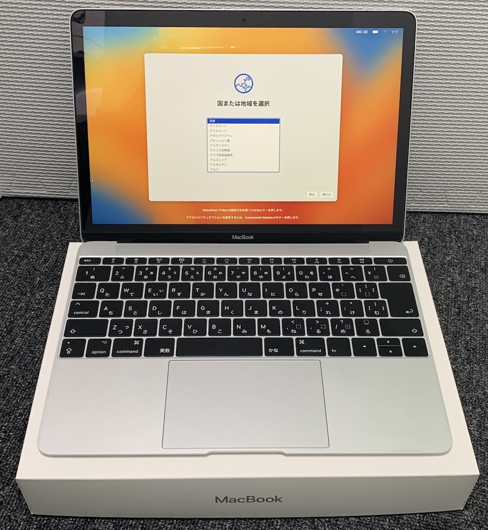 Macbook 12 -inch 2017 Retina working properly goods 8GB 256GB battery replaced A1534 MNYH2J/A