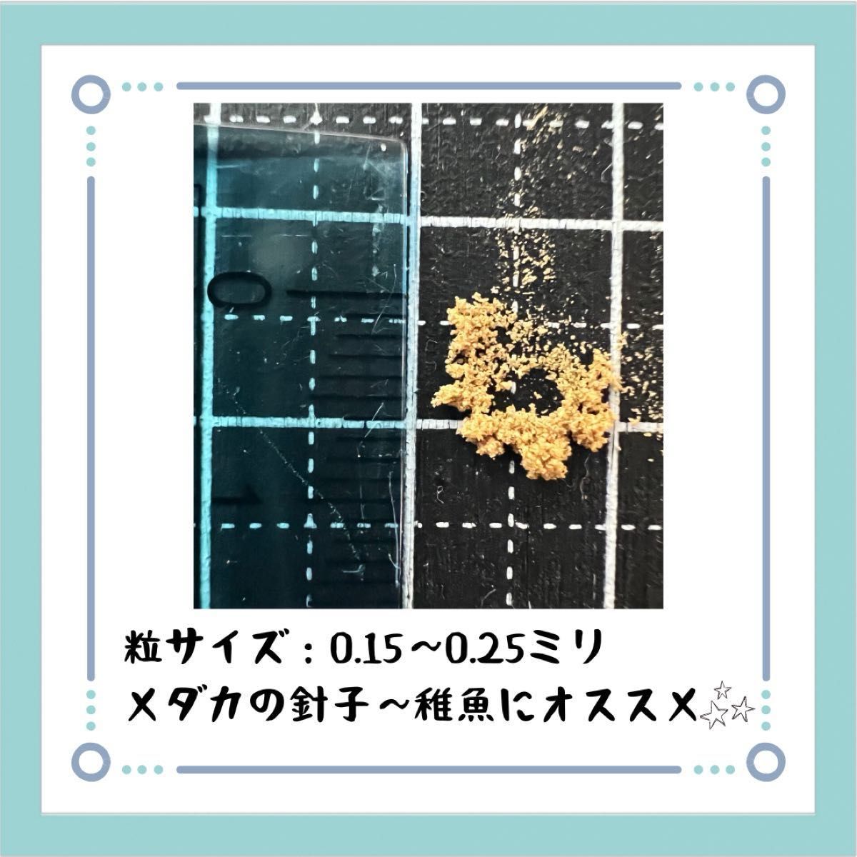 ライズ1号（針子〜稚魚用）100g【食いつき抜群！高タンパク活力増強♪】