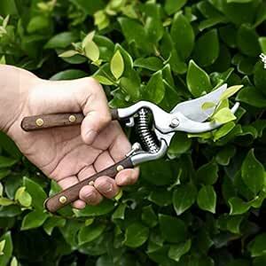 [cmy select] pruning scissors scissors for gardening gardening basami gardening for height branch cut basami scissors for gardening set gardening garden tool ga-te