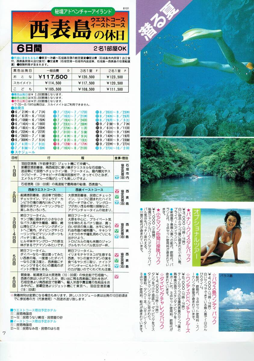 '93 サミーツアー沖縄パンフレット　モデル不詳　黒ビキニ_画像5