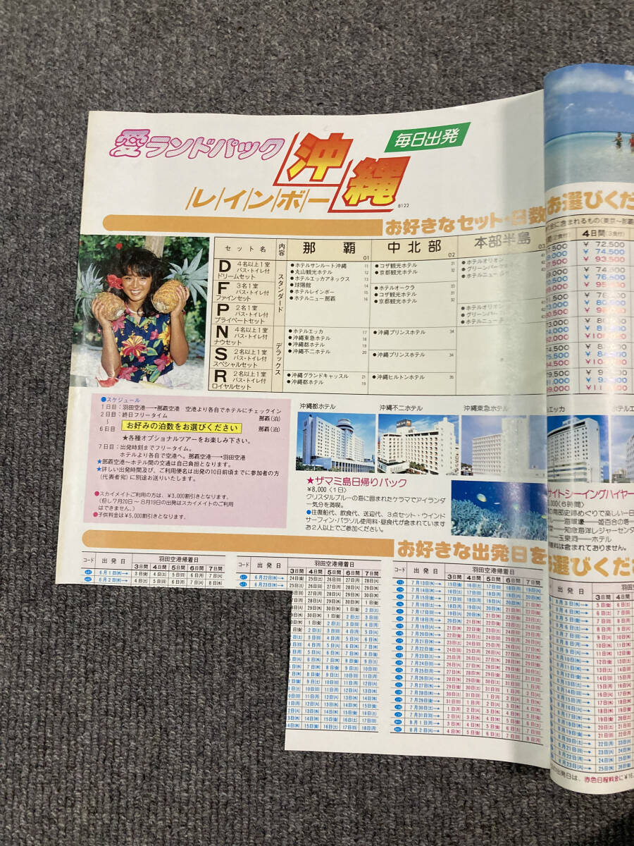 '93 サミーツアー沖縄パンフレット　モデル不詳　黒ビキニ_画像8