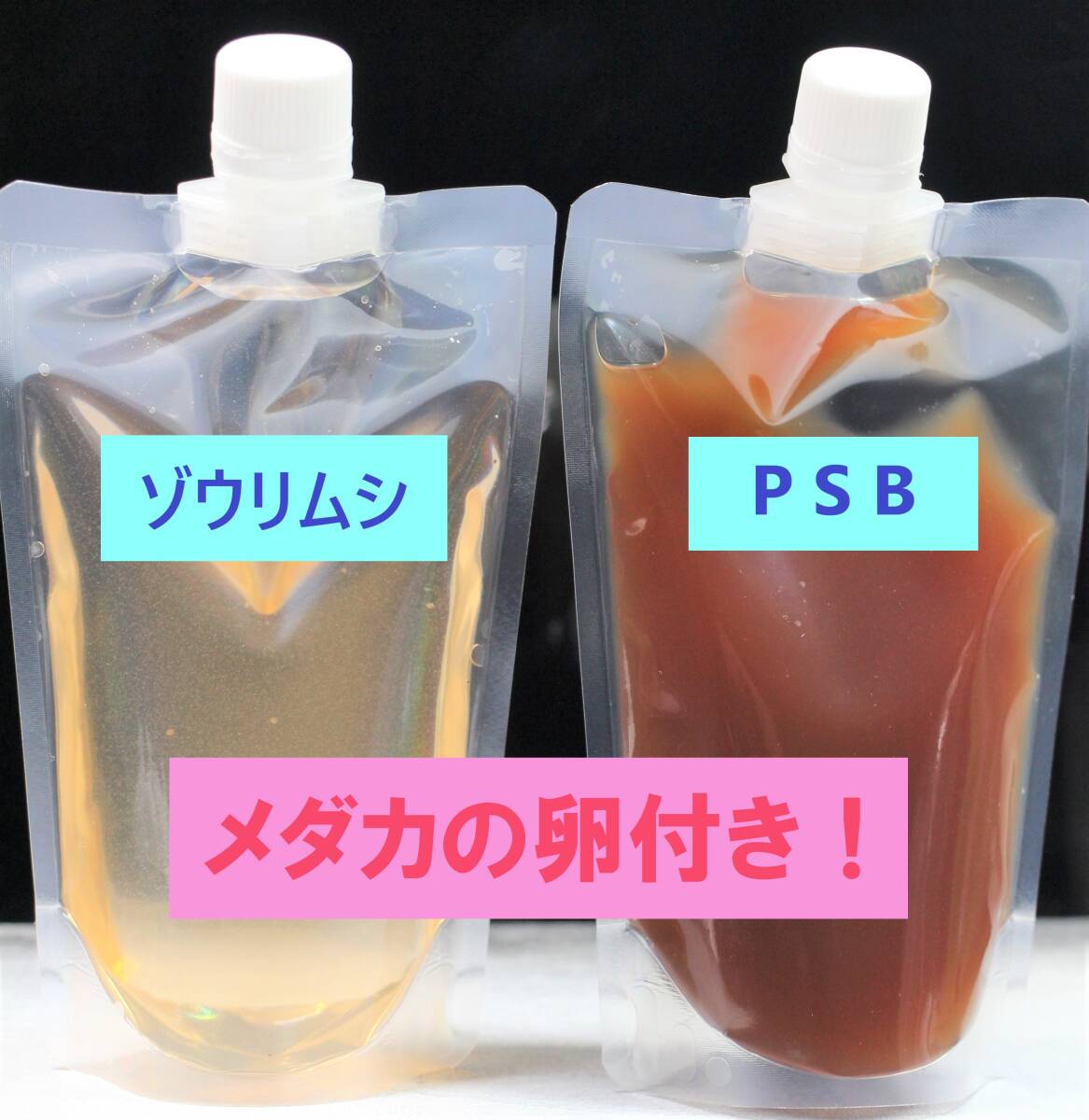 ゾウリムシ種水 ＆ PSB ＆ メダカの卵（２種類 各10個） セット！　　　針子の餌・光合成細菌_画像1