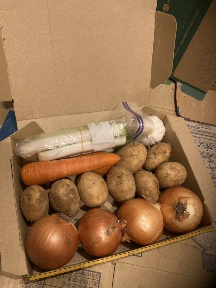  немедленная покупка приветствуется! овощи набор специальный compact BOX!