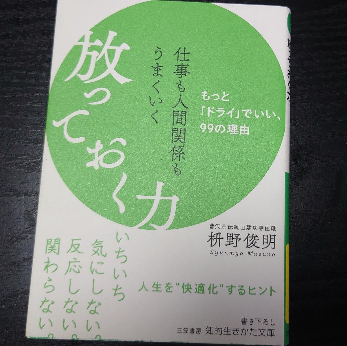 仕事も人間関係もうまくいく放っておく力 （知的生きかた文庫　ま４１－１０） 枡野俊明／著