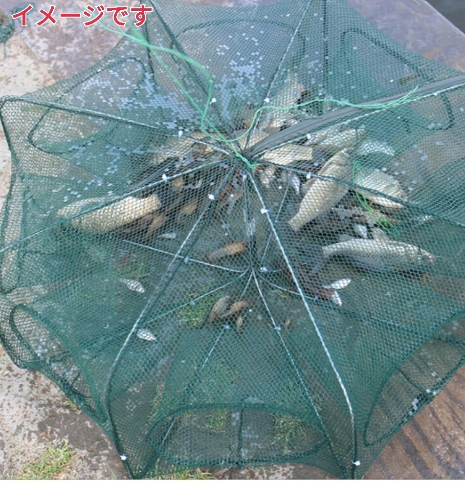 仕掛け網、カニタコ穴子根魚ウナギ狙い_画像4