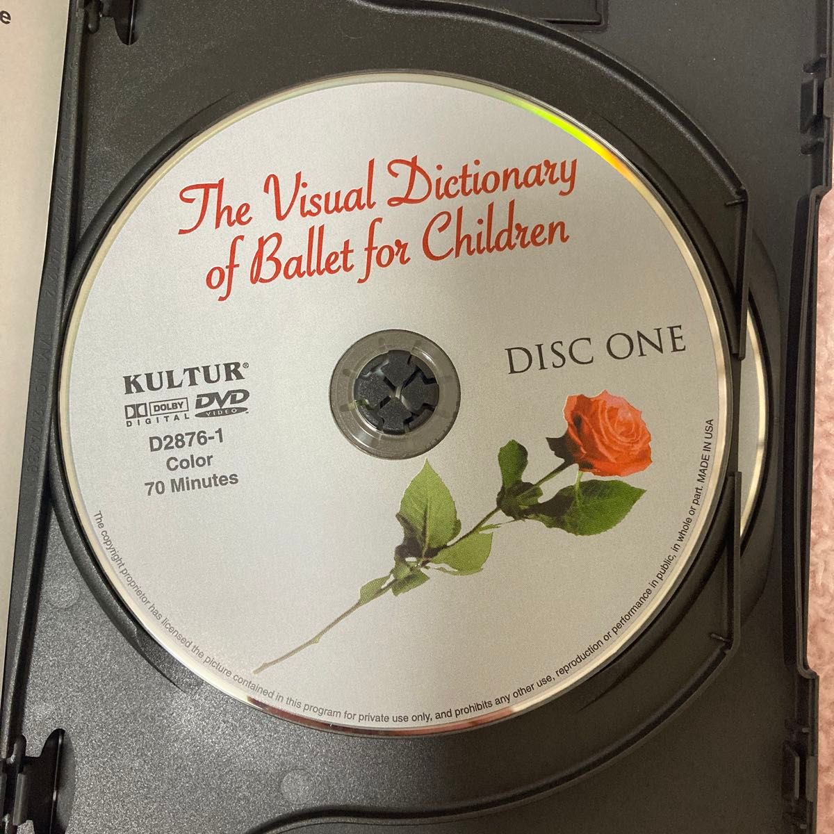 Visual Dictionary of Ballet For Children 中古DVD