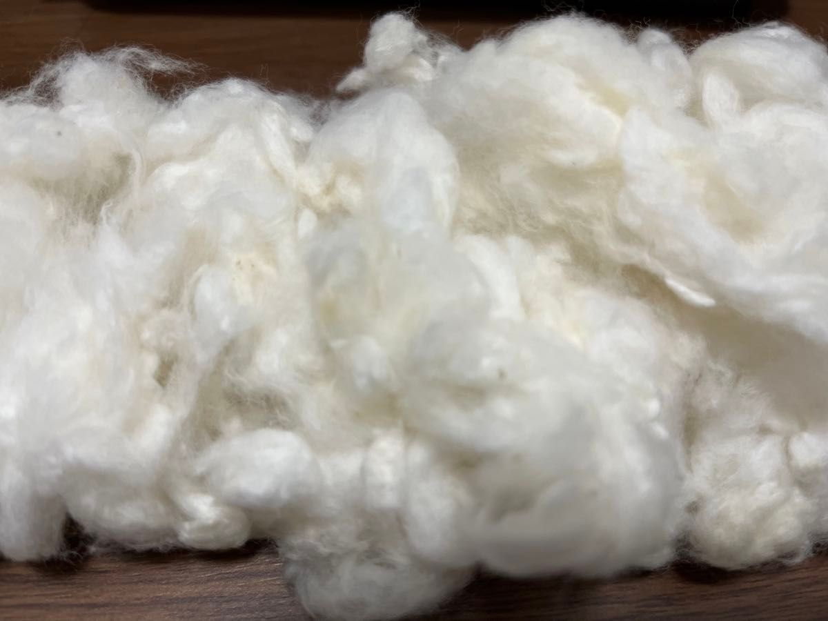 コットンフラワーの種　 約290粒　綿付けます。