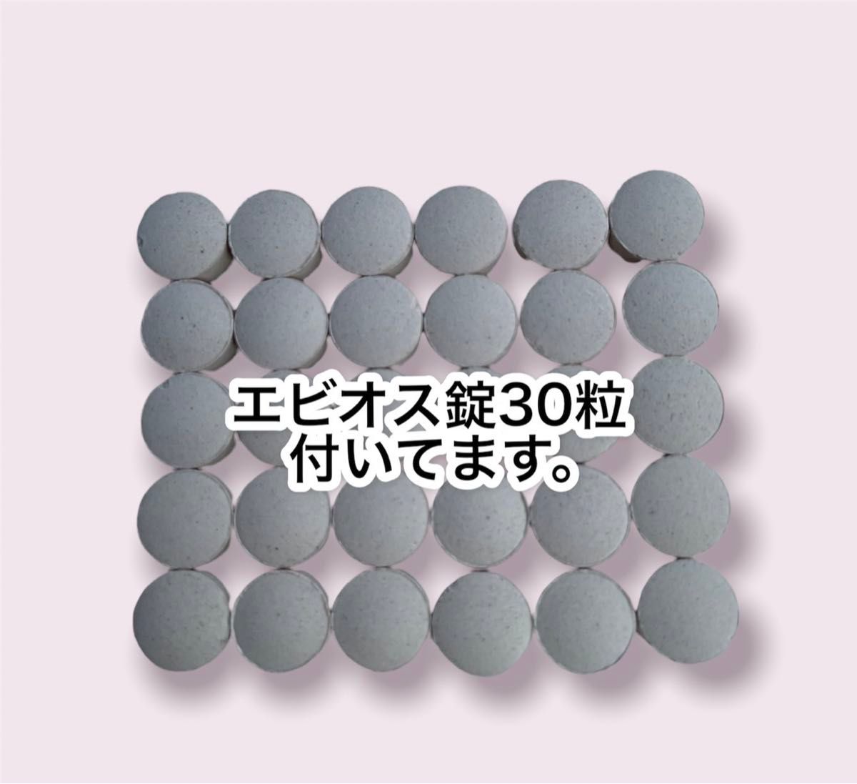 光合成細菌 PSB  ゾウリムシ 種水  エビオス錠   説明書付  エサ  めだか  針子