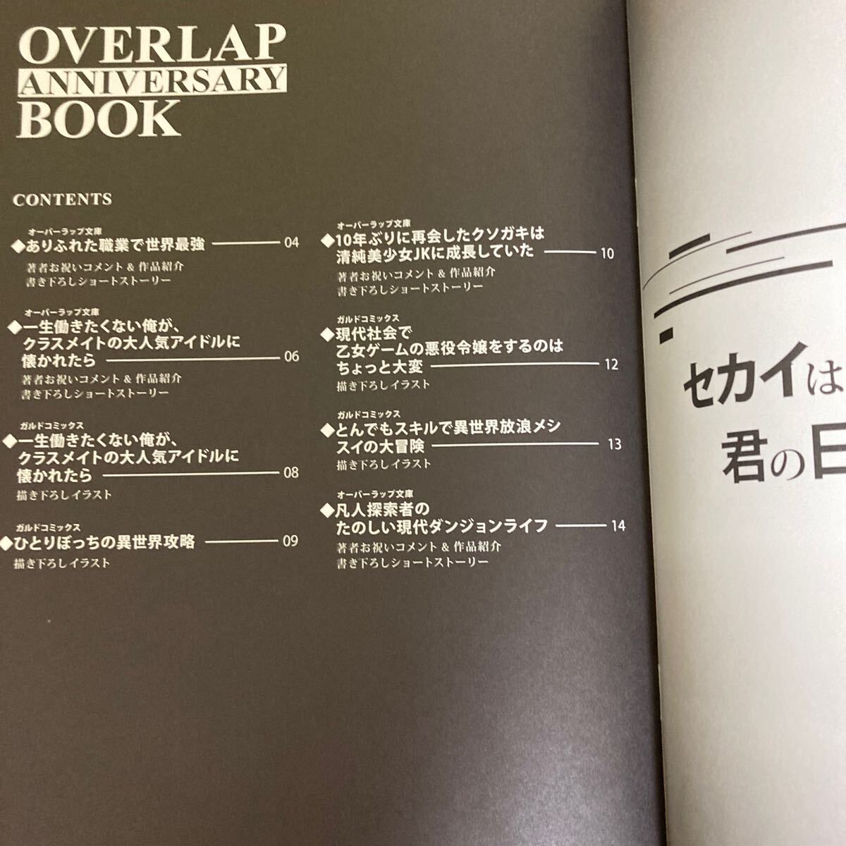 【送料無料】オーバーラップ×Melonbooks オーバーラップ11周年記念本　OVERLAP ANNIVERSARY BOOK A・B2冊セット_画像3