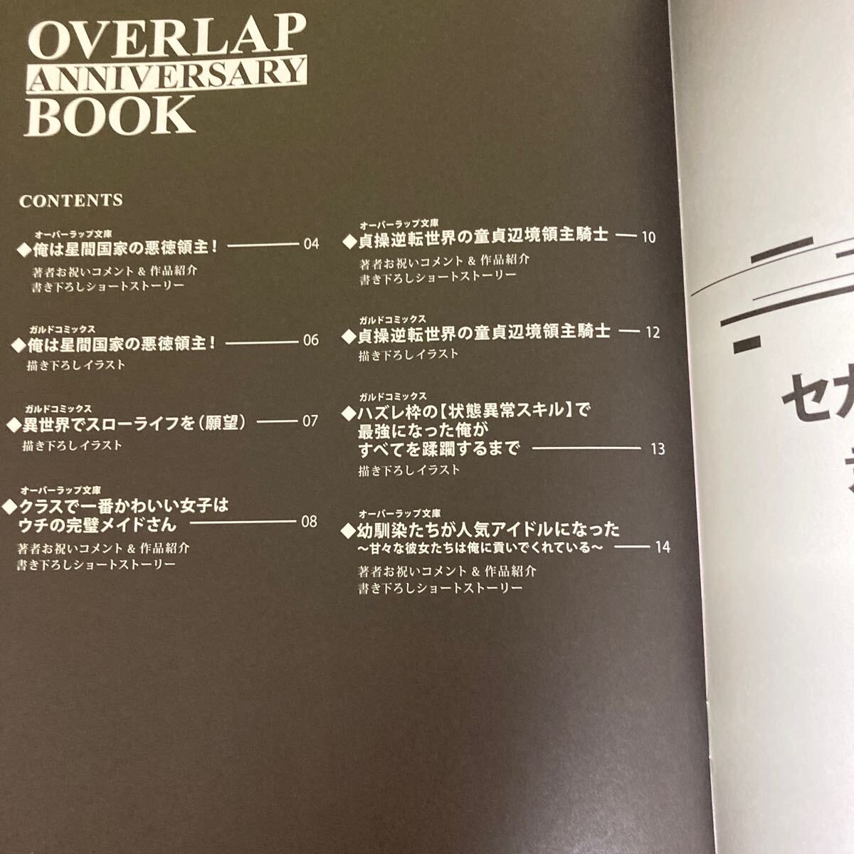 【送料無料】オーバーラップ×Melonbooks オーバーラップ11周年記念本 OVERLAP ANNIVERSARY BOOK A・B2冊セットの画像5