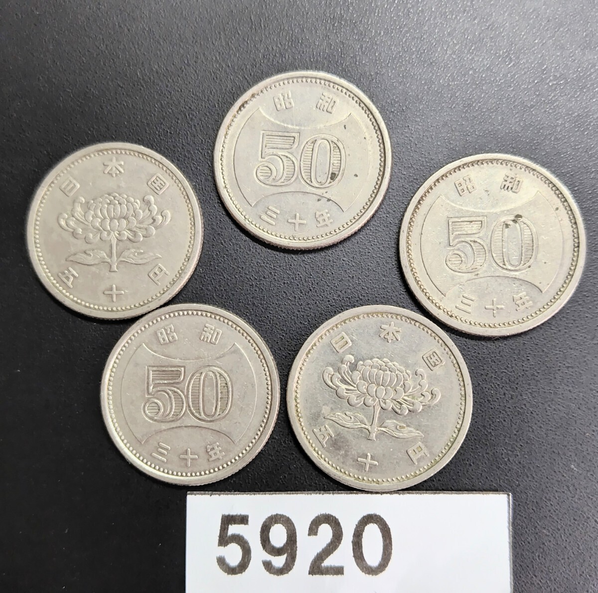 5920　昭和30年大型菊穴無し50円硬貨 5枚_画像1