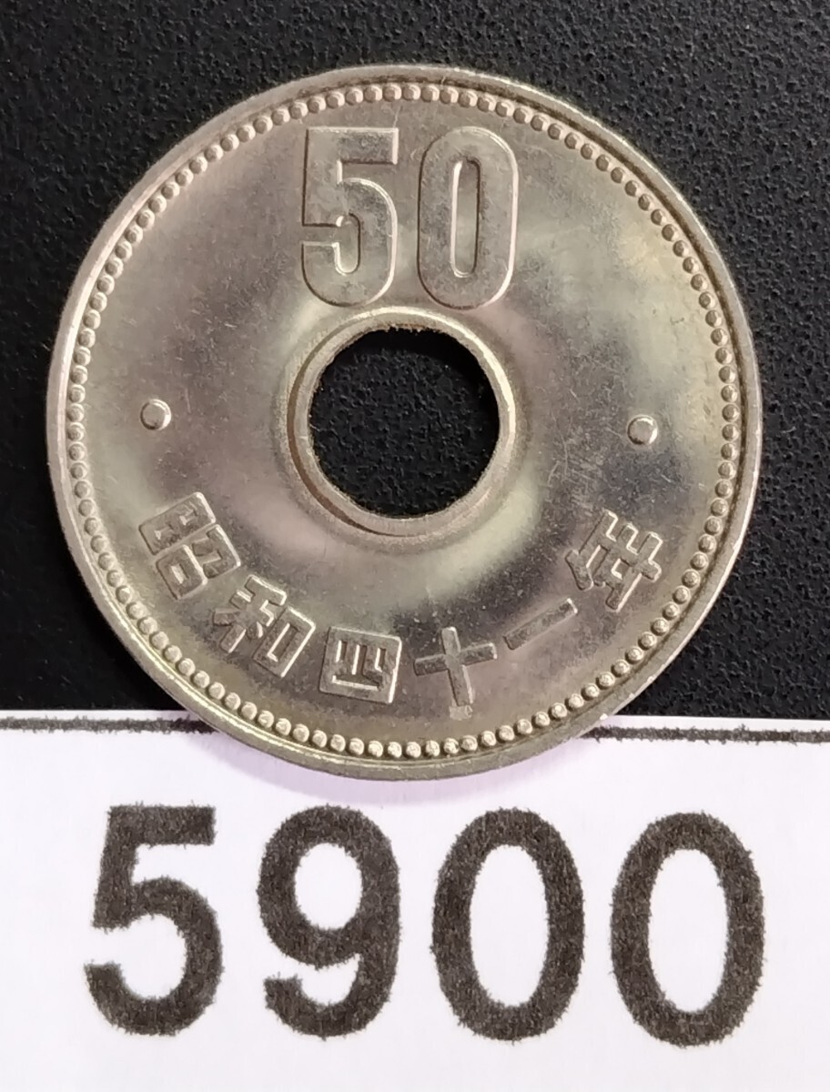 5900　未使用極美品　昭和41年大型菊穴有り５０円硬貨_画像1