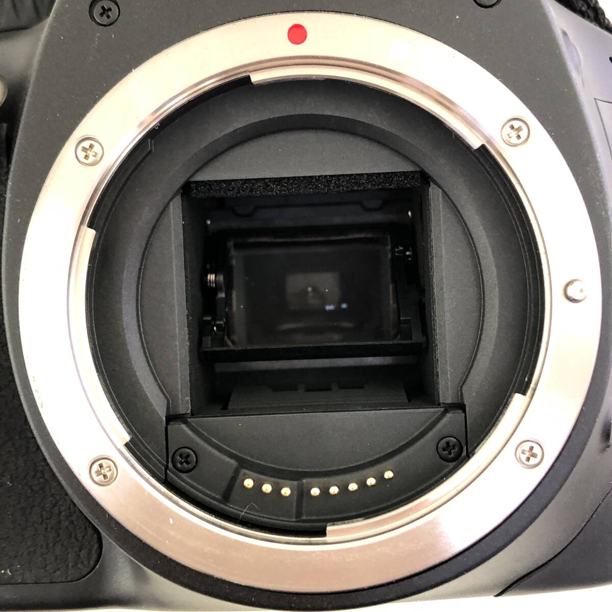 【撮影確認済】Canon EOS Kiss X4 ボディ デジタル一眼レフカメラ/レンズ Canon ZOOM LENS EF 28-70mm F2.8 L ULTRASONIC等の画像5