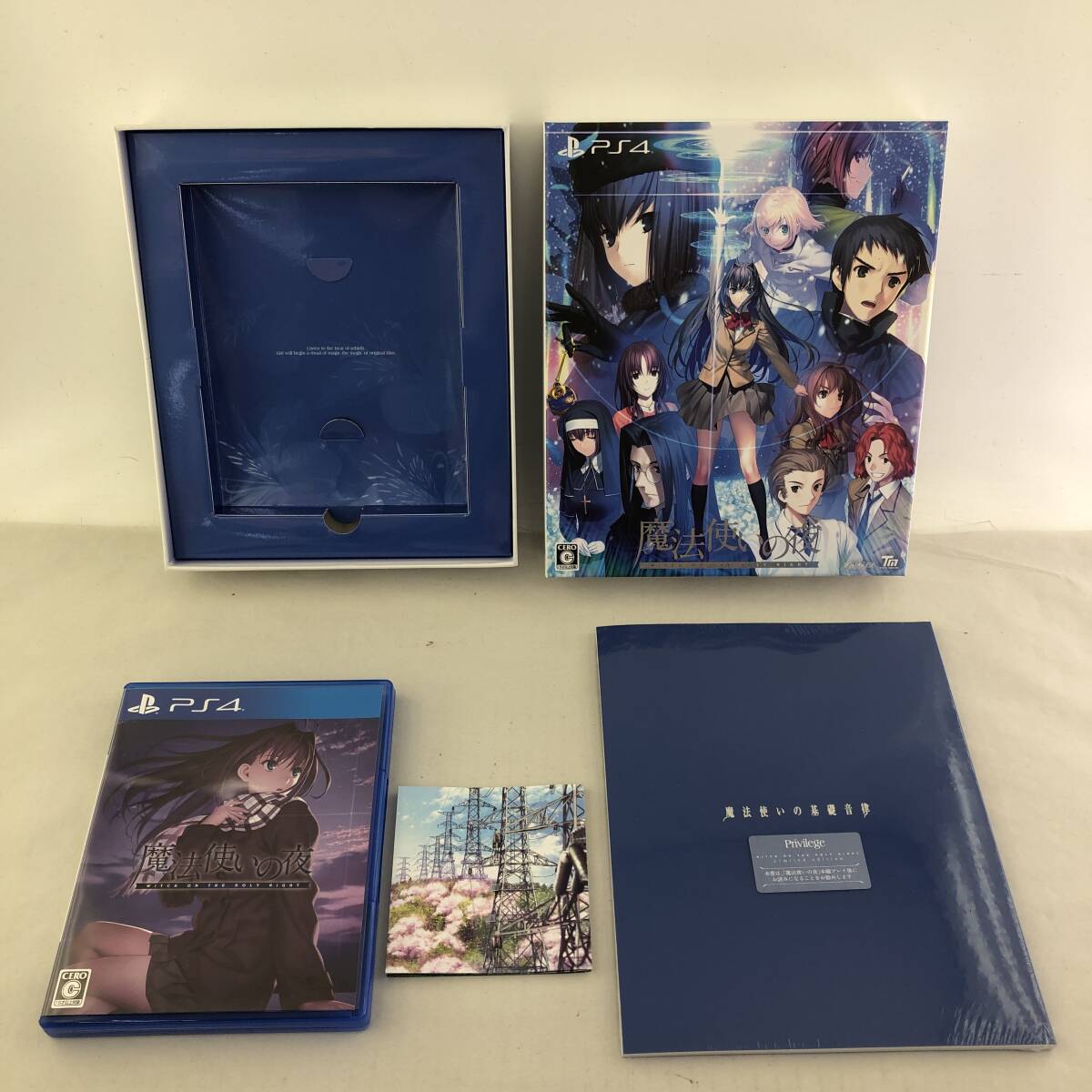 1 jpy ~[ operation verification settled ]PS4 soft MELTY BLOOD(merutib Lad )/ month ./ Mahou Tsukai. night playstation4 PlayStation 4