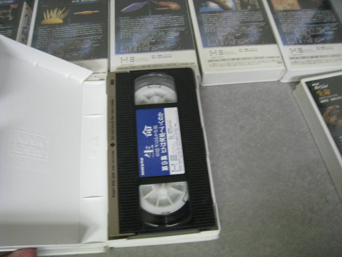 NHK специальный жизнь 40 сто миллионов год. .... все 10 шт VHS видео 