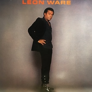 【コピス吉祥寺】LEON WARE/LEON WARE(E160050)の画像1