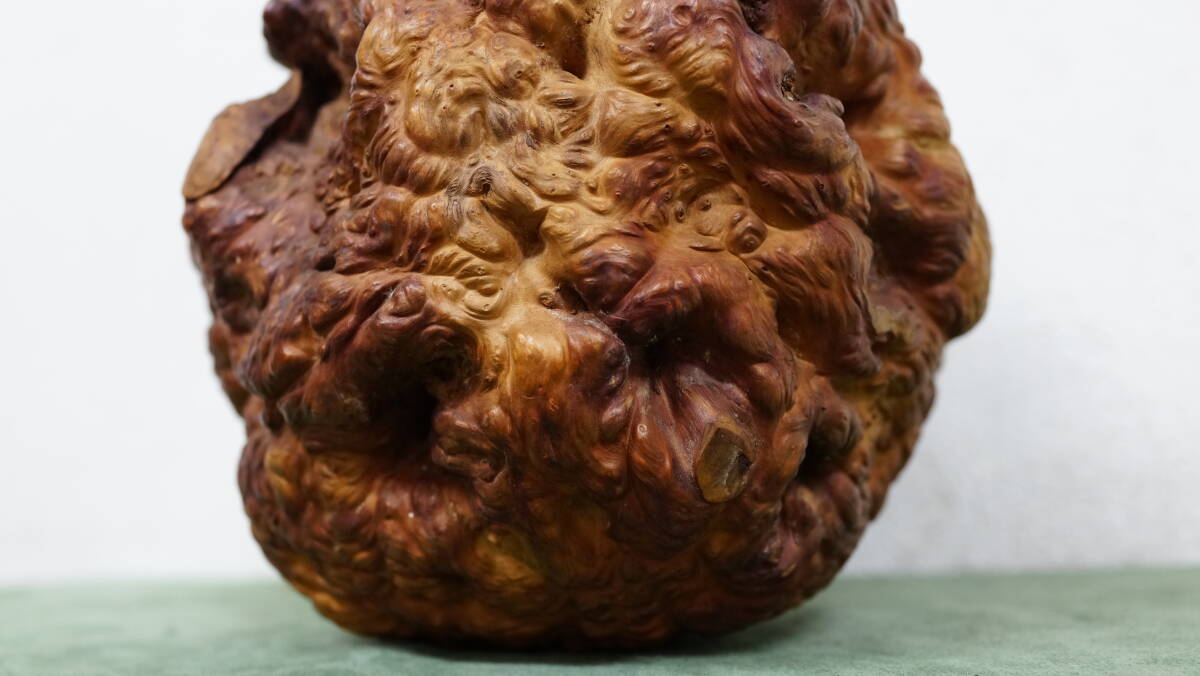 天然木　重さ 2.76㎏　 木瘤　瘤杢　根っこ　天然　瘤材　杢材　置物 　_画像7