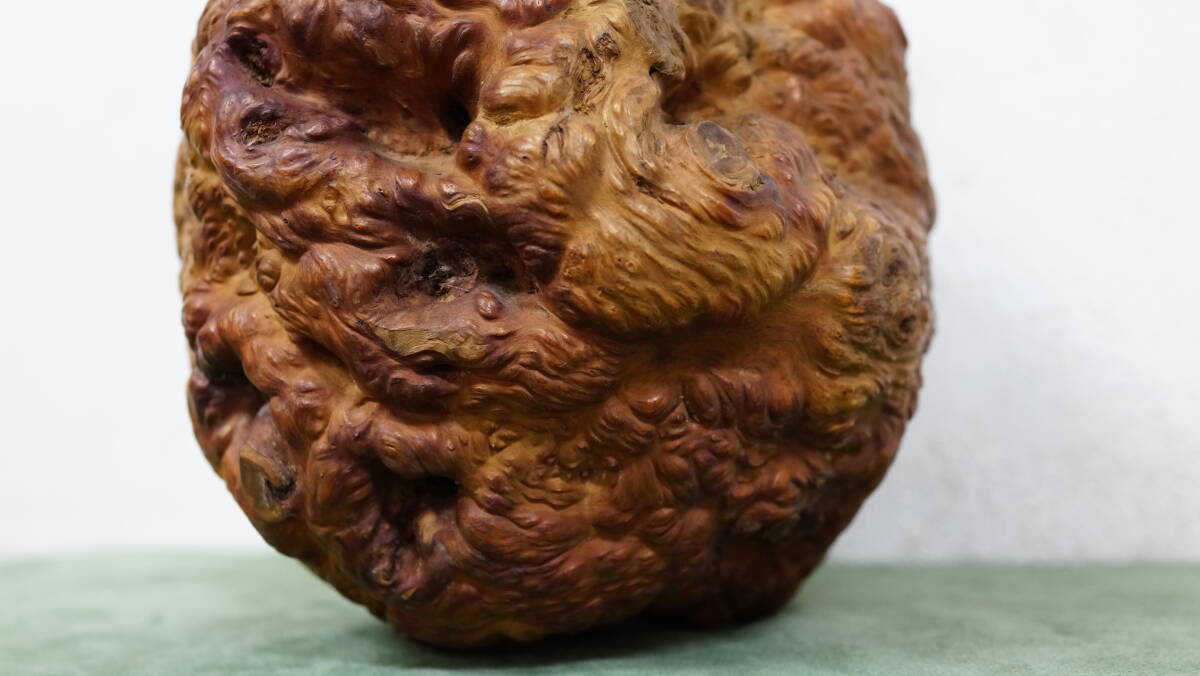 天然木　重さ 2.76㎏　 木瘤　瘤杢　根っこ　天然　瘤材　杢材　置物 　_画像9