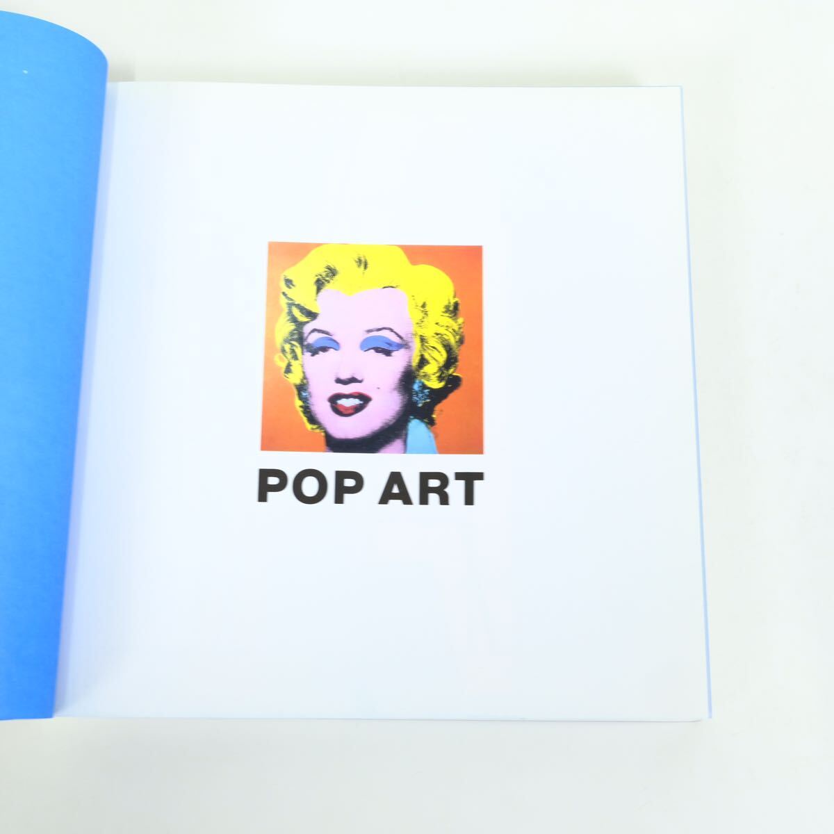 POP ART A CONTINUING HISTORY 洋書　画集　作品集　ポップアート　歴史　アンディ・ウォーホル　資料集_画像10