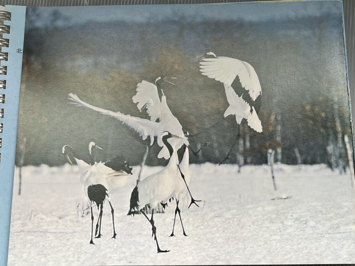 昭和52年版/秘境北海道　カラー写真集 1977年 当時物_画像4