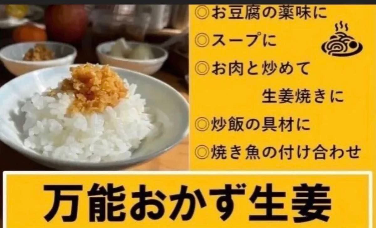 【宮崎のお漬物】万能おかず生姜　130ｇ×3袋 上沖産業