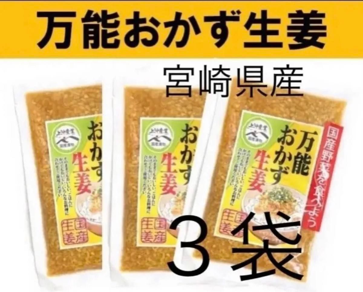 【宮崎のお漬物】万能おかず生姜　130ｇ×3袋 上沖産業